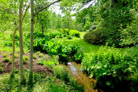 Savill Garden - Windsor Great Park, England - DSC06314