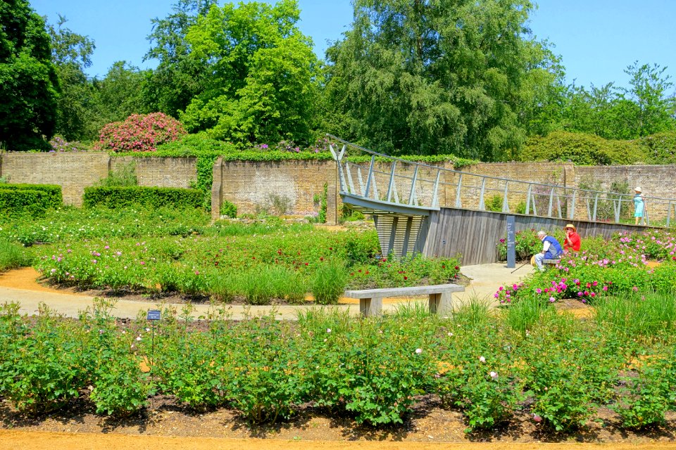 Savill Garden - Windsor Great Park, England - DSC06152