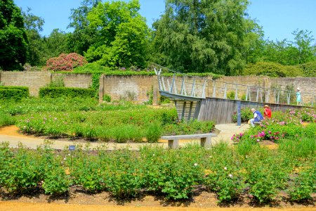 Savill Garden - Windsor Great Park, England - DSC06152
