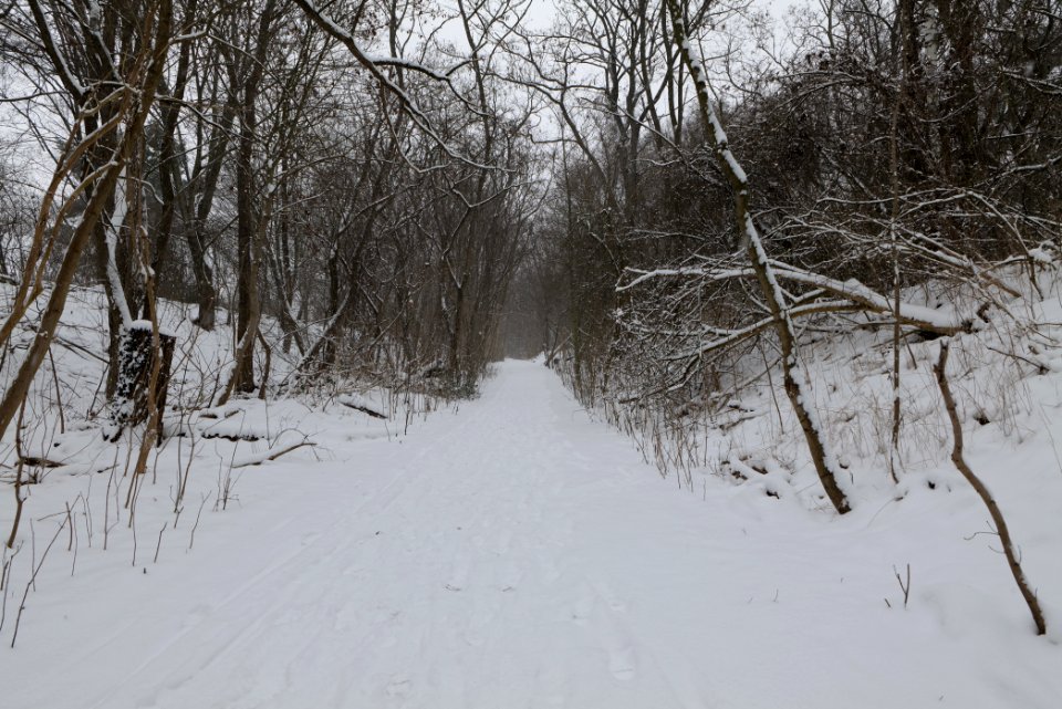 Schöneberger Südgelände with snow 2021-02-08 11