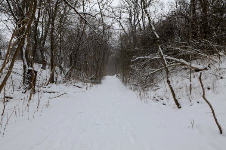 Schöneberger Südgelände with snow 2021-02-08 11