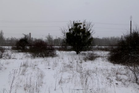 Schöneberger Südgelände with snow 2021-02-08 18