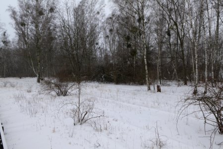 Schöneberger Südgelände with snow 2021-02-08 24