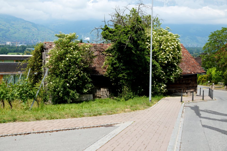 Schaan Torkel Bergseite – WAF 300 J FL
