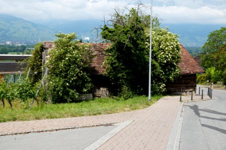 Schaan Torkel Bergseite – WAF 300 J FL