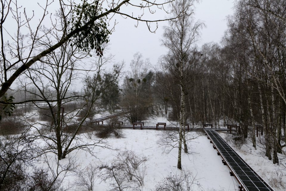Schöneberger Südgelände with snow 2021-02-08 17