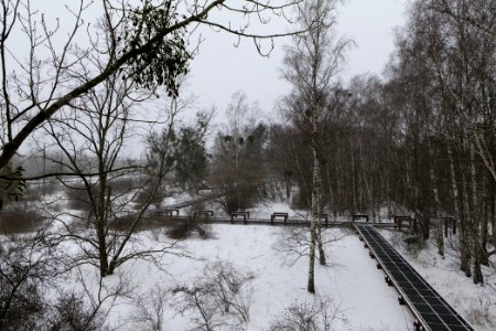 Schöneberger Südgelände with snow 2021-02-08 17