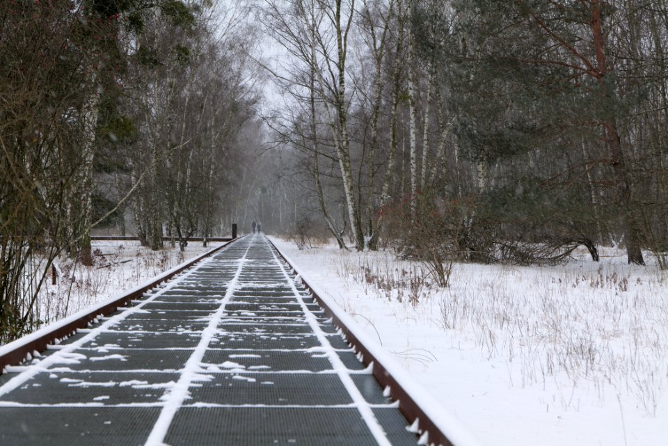 Schöneberger Südgelände with snow 2021-02-08 22