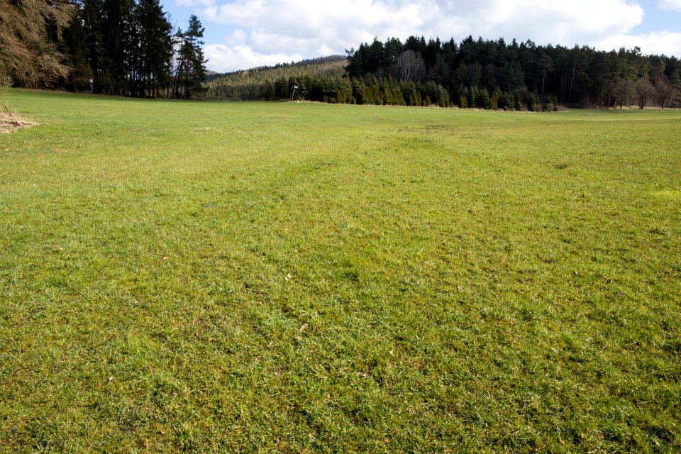 Schelmbach 02