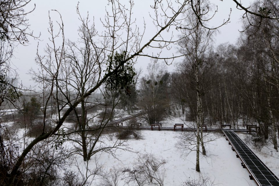 Schöneberger Südgelände with snow 2021-02-08 15