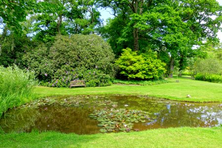 Savill Garden - Windsor Great Park, England - DSC06330