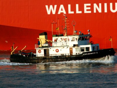Scheldewacht II closeup