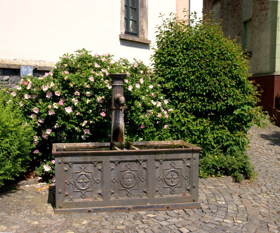Schenkelberg Well Westerwald Germany