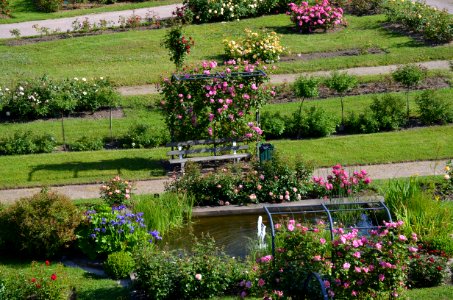 Saverne, Roseraie (11)