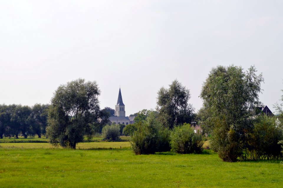 Schellebelle vanaf de meersen bij Den Aard