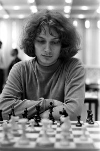 Schaker Jan Timman, Bestanddeelnr 925-6288