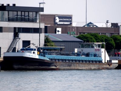 Schelde - ENI 06503565, Port of Antwerp