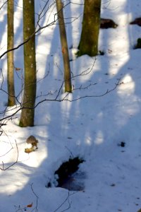 Saxenegg-1020310-Zisterne-zugefroren