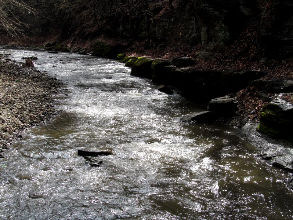 Saw Mill Run, Seldom Seen, 2021-03-28, 04