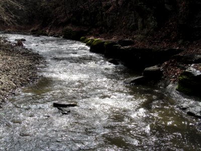 Saw Mill Run, Seldom Seen, 2021-03-28, 04