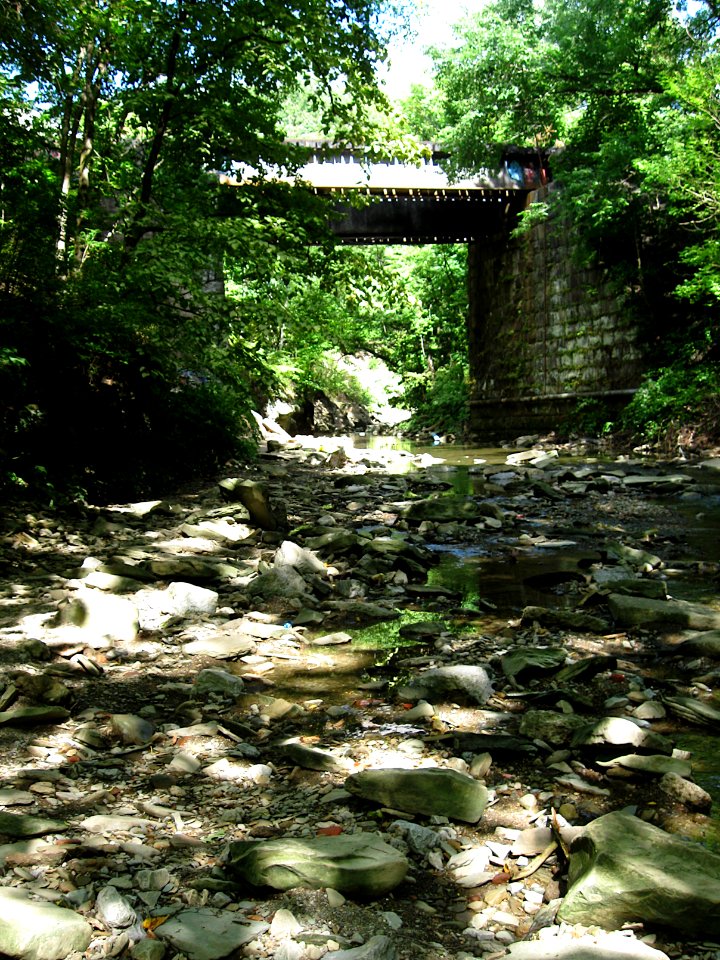 Saw Mill Run, Seldom Seen, with railroad bridge, 2020-08-30