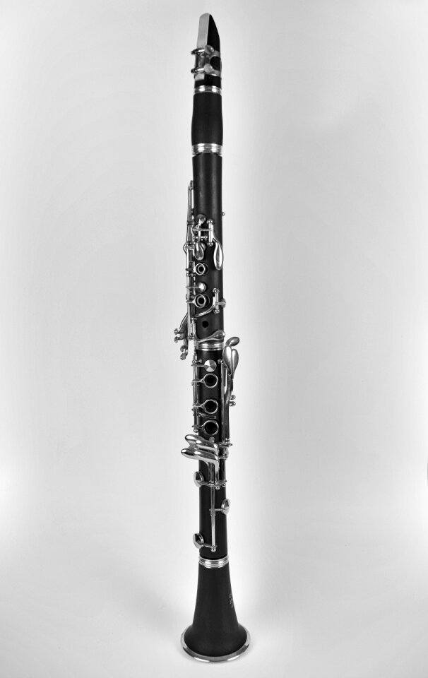 Artist jazz concert