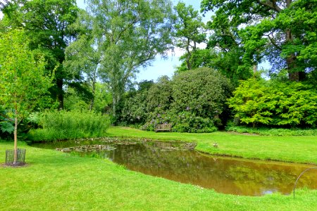 Savill Garden - Windsor Great Park, England - DSC06328