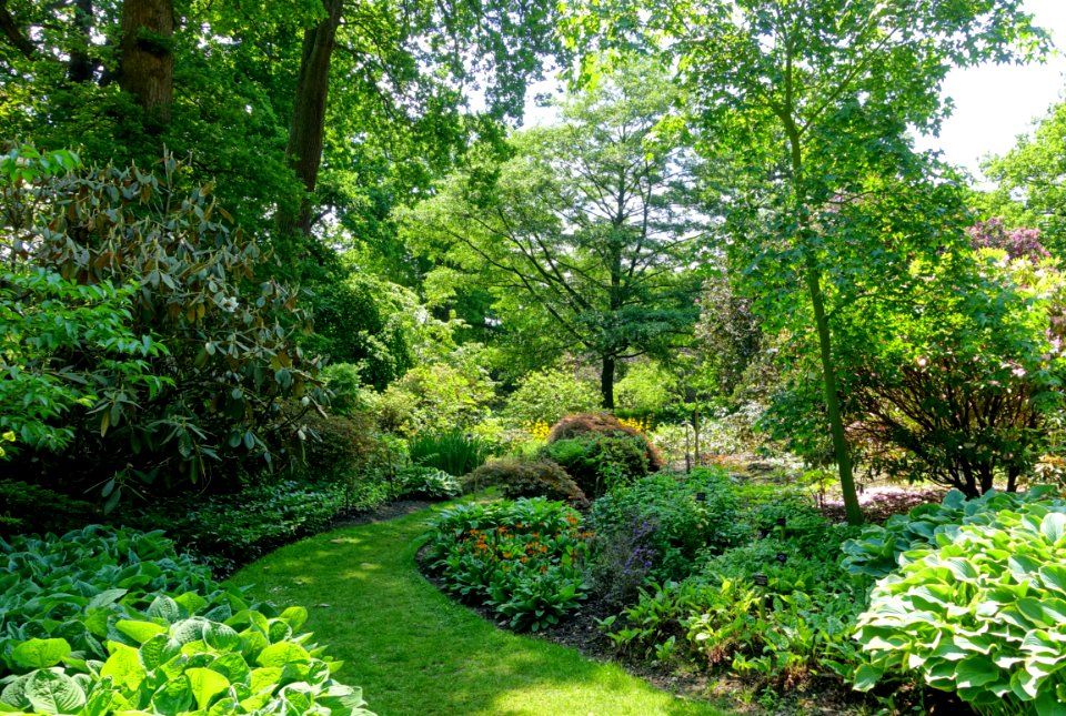 Savill Garden - Windsor Great Park, England - DSC06280