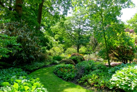Savill Garden - Windsor Great Park, England - DSC06280