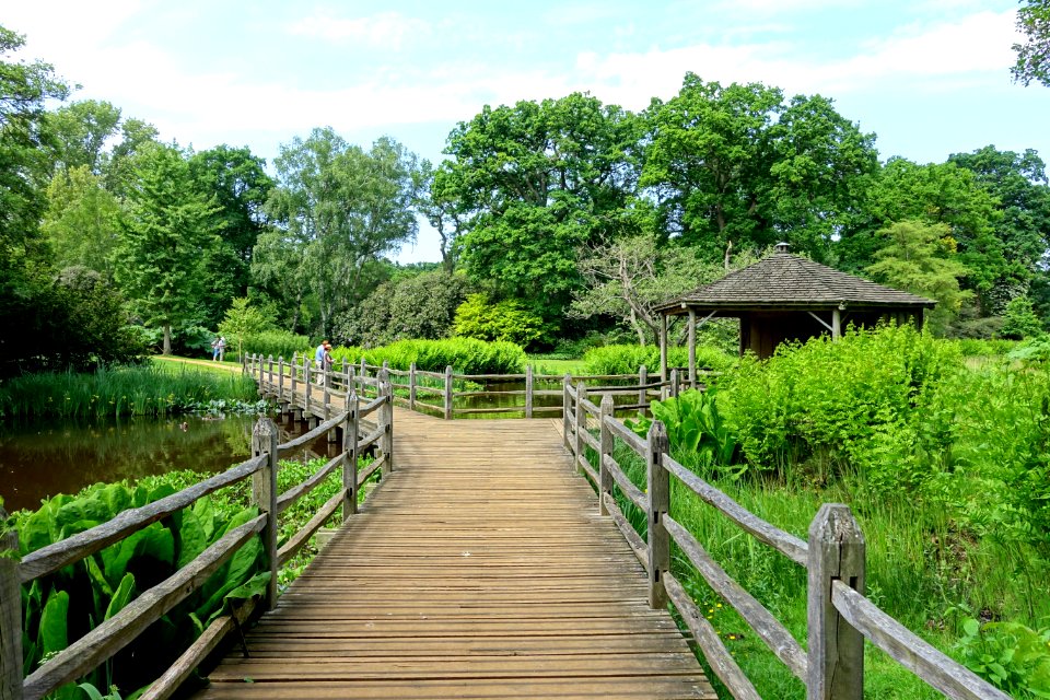 Savill Garden - Windsor Great Park, England - DSC06322