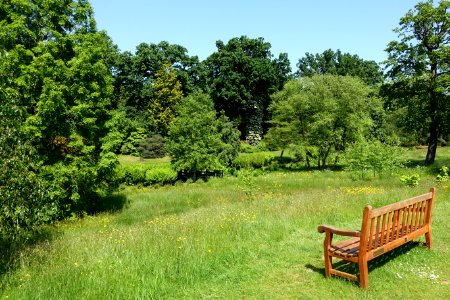 Savill Garden - Windsor Great Park, England - DSC05954