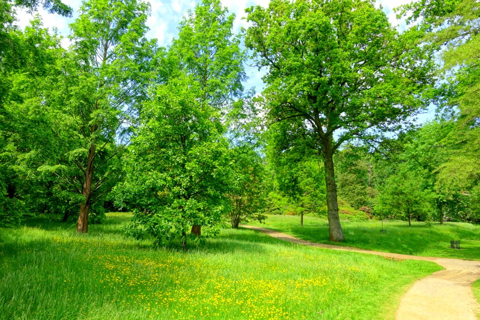 Savill Garden - Windsor Great Park, England - DSC06336
