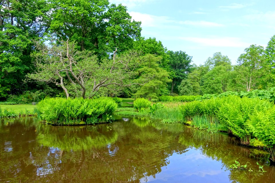 Savill Garden - Windsor Great Park, England - DSC06326