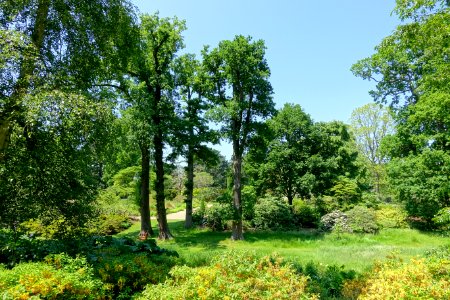 Savill Garden - Windsor Great Park, England - DSC06036