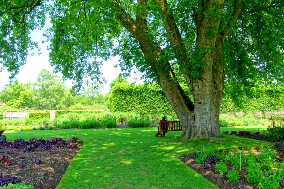 Savill Garden - Windsor Great Park, England - DSC06150