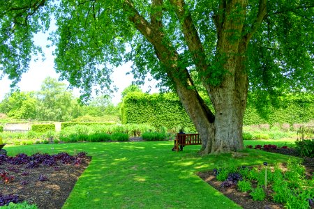 Savill Garden - Windsor Great Park, England - DSC06150