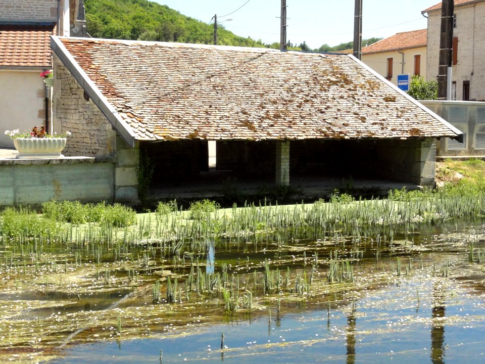 Saucourt, lavoir du bief du Rognon (02)