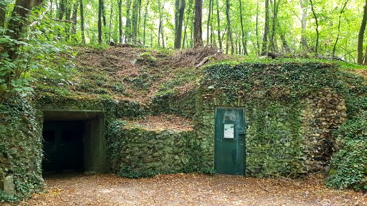 Savelsbosch-Vuursteenmijn (10)