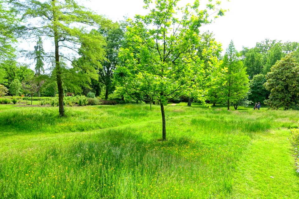 Savill Garden - Windsor Great Park, England - DSC06380
