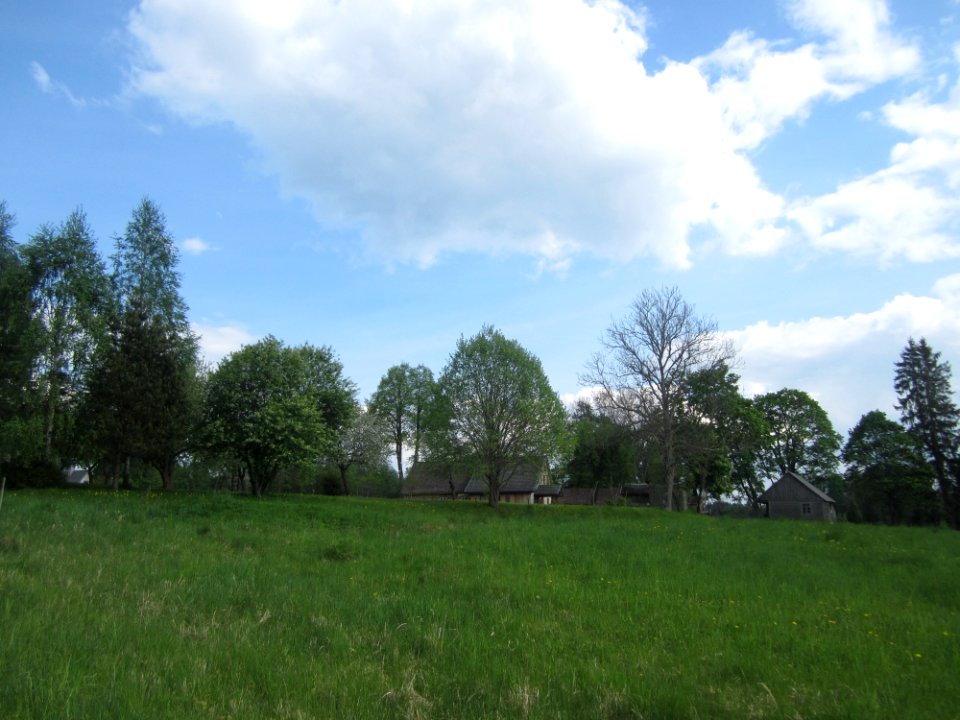 Savičiūnai (Zarasai)
