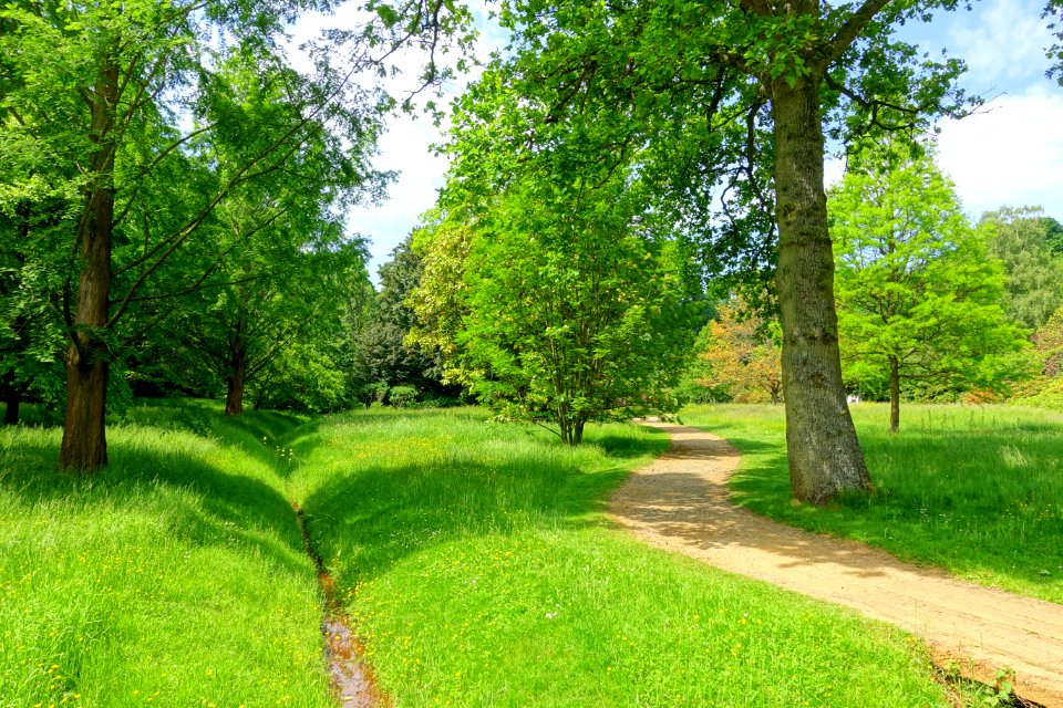 Savill Garden - Windsor Great Park, England - DSC06338