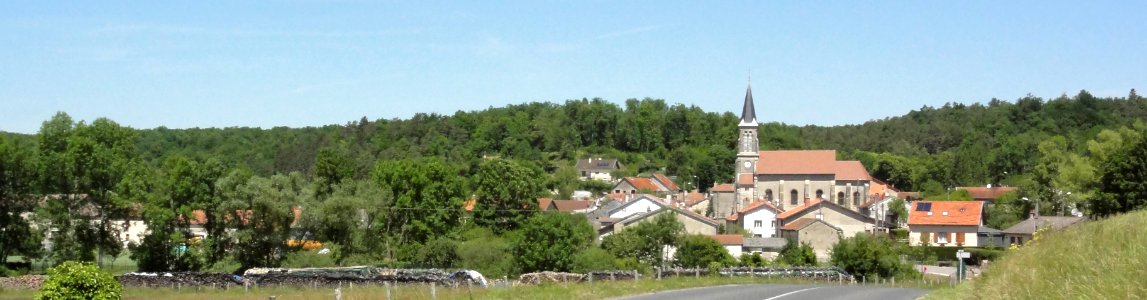 Saucourt-sur-Rognon, vue panoramique village et forêt