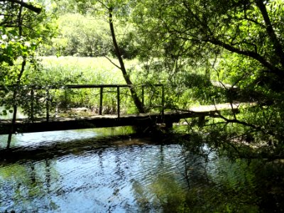 Saucourt, marais des Grands Prés (02)