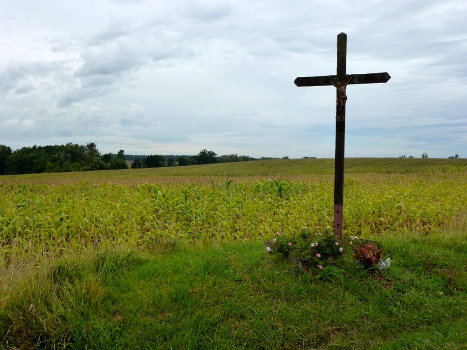 Saulces-Champenoises (Ardennes) croix de chemin D25 est