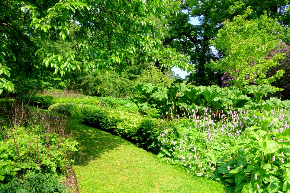 Savill Garden - Windsor Great Park, England - DSC06444