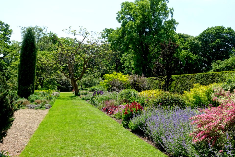 Savill Garden - Windsor Great Park, England - DSC06148