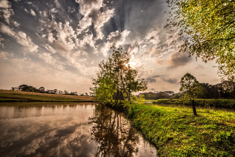 Landscape green grass
