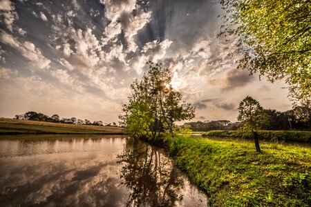 Landscape green grass