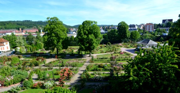 Saverne, Roseraie, Totale (1)