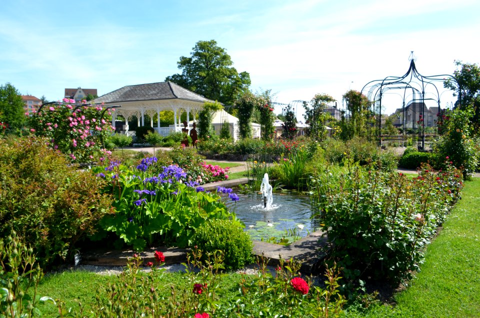 Saverne, Roseraie (7)